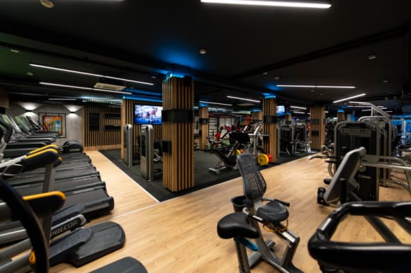 All In Fitness
