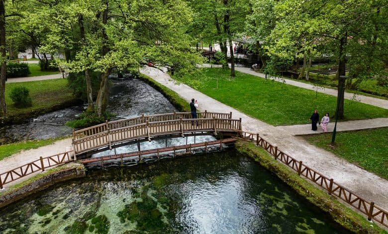 Vrelo Bosne