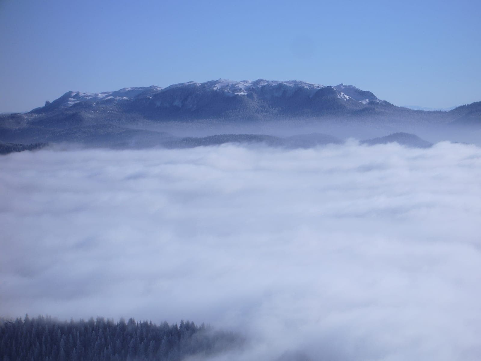 Ravna Planina category photo