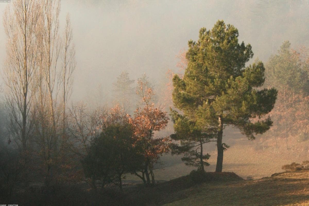 Veliki Park