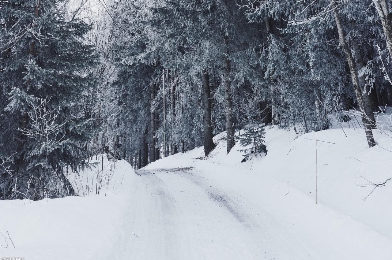 Sarajevo to Jahorina Transfer